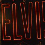 OTRA2014_0441 (August 27, 2014)